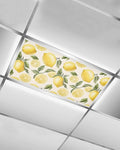 1 Pack Country Watercolor Fluorescent Light Covers by Unknown