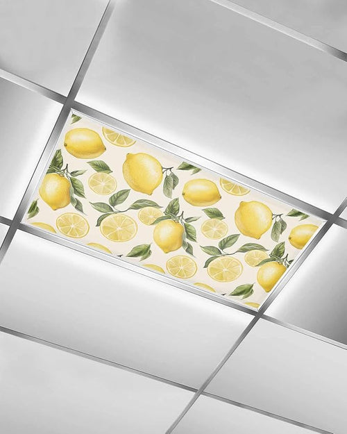 1 Pack Country Watercolor Fluorescent Light Covers by Unknown
