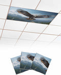 3 Pcs Fluorescent Light Covers for Ceiling Lights, Bald Eagle Soaring Above by Chees+D+Zone