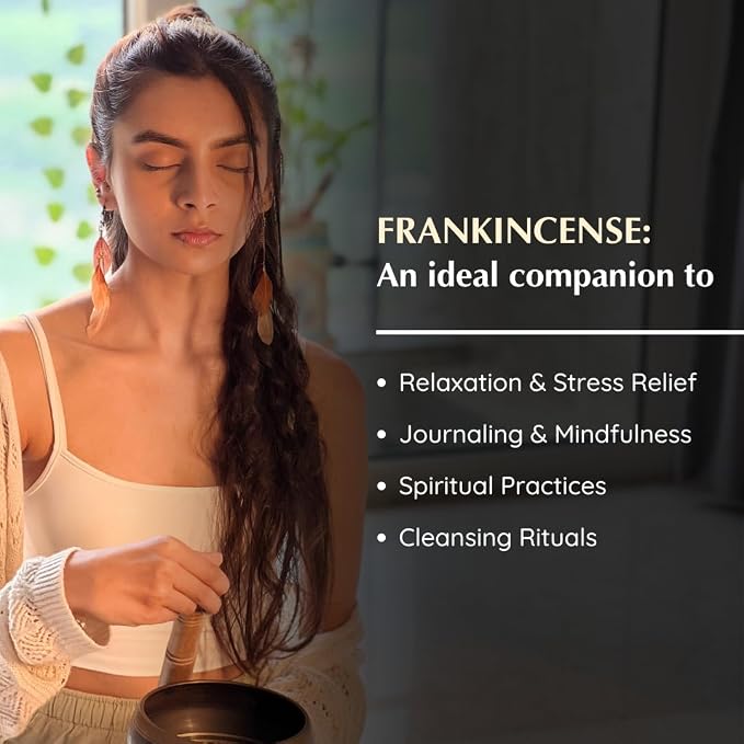Frankincense Incense Bricks & Tree of Life Exotic Burner by Aromafume | 2 Trays - Image 8