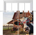 Farm Cows Bedroom Curtains 63 Inch Length, Window Curtains Tab Top, Farmhouse by Unknown