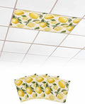 4 Pack Country Watercolor Fluorescent Light Covers by Unknown