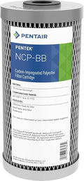 Pentair Pentek NCP-BB Big Blue Carbon Water Filter, Whole House Pleated by PENTAIRPENTEK