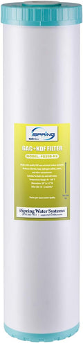 iSpring FG25B-KS High Capacity Heavy Metal Reducing GAC and KDF Whole House by iSpring