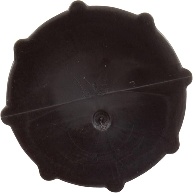 Air Bleed Valve, Pentair Rainbow RDC/RTL/Bromine - Image 5