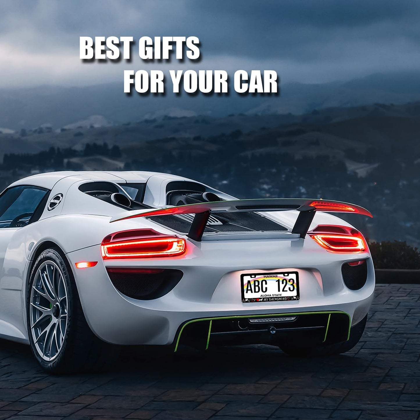 I Love My Dachshund License Plate Frame Animal Dog License Plate Holder Stainless Steel Funny Colorful Car Accessories Decoration 6.3" X 12.3" with 2 Holes Screws