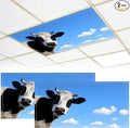 2 Pack Fluorescent Light Covers by BVBOX