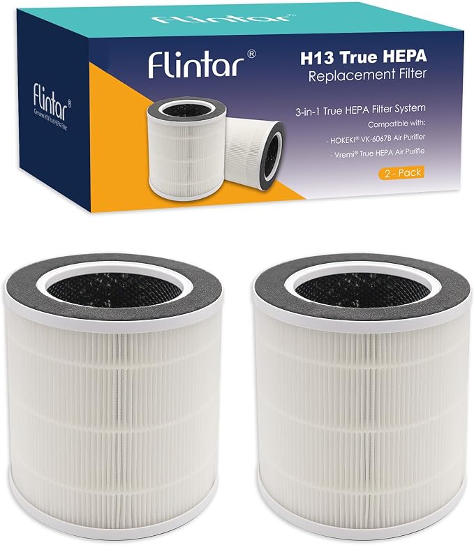 VK-6067B Replacement Filters, Compatible by Flintar