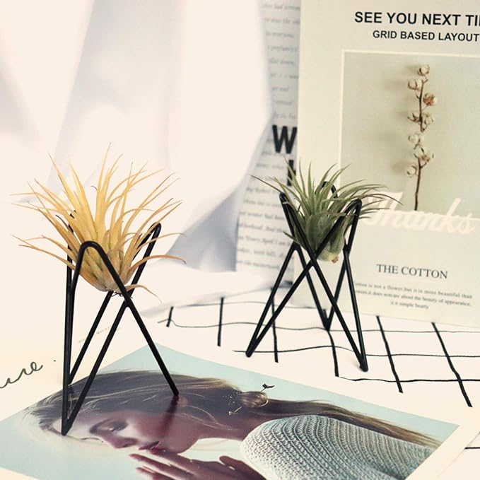 Pack of 4 Air Plant Holder Tillandsia Base, Modern Geometric Metal Air Plant - Image 3