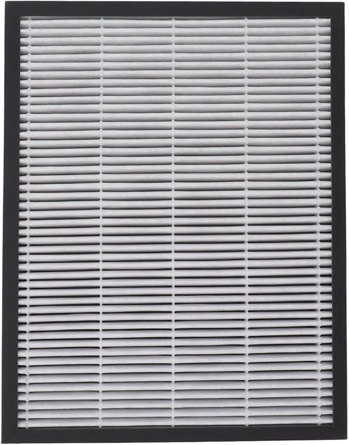 Air Purifier Filter Replacement by Mtlavishness