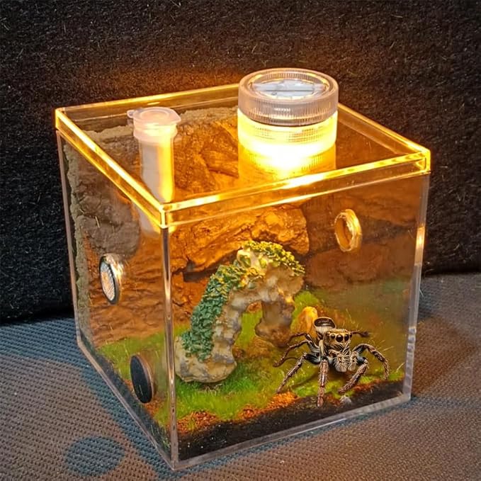 Jumping Spider Habitat LED-Lit Acrylic Enclosure Built-in Scenery Ventilation - Image 5