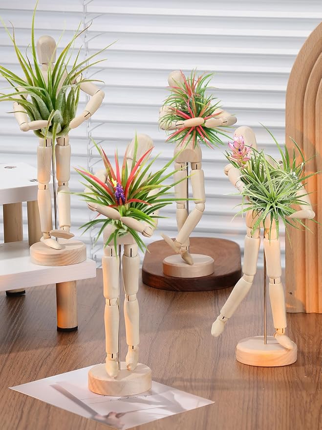 ANPHSIN 4 Pcs 8.6'' Wooden Air Plant Holder - Image 2