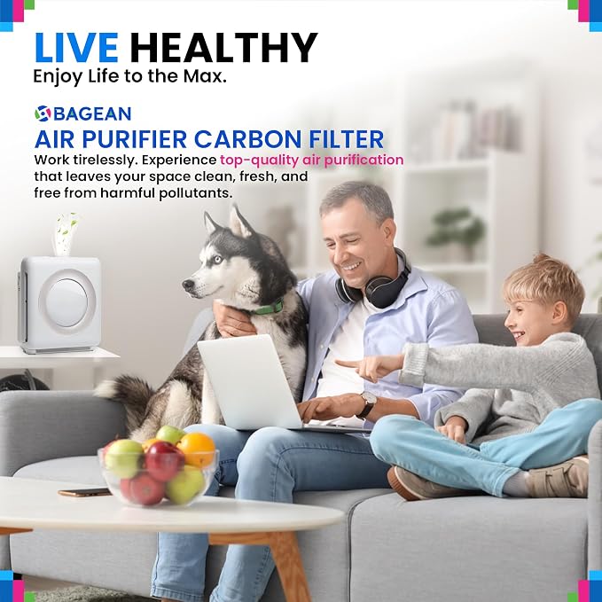 Bagean Airmega AP-1512HH Carbon Pre Filter - Image 6