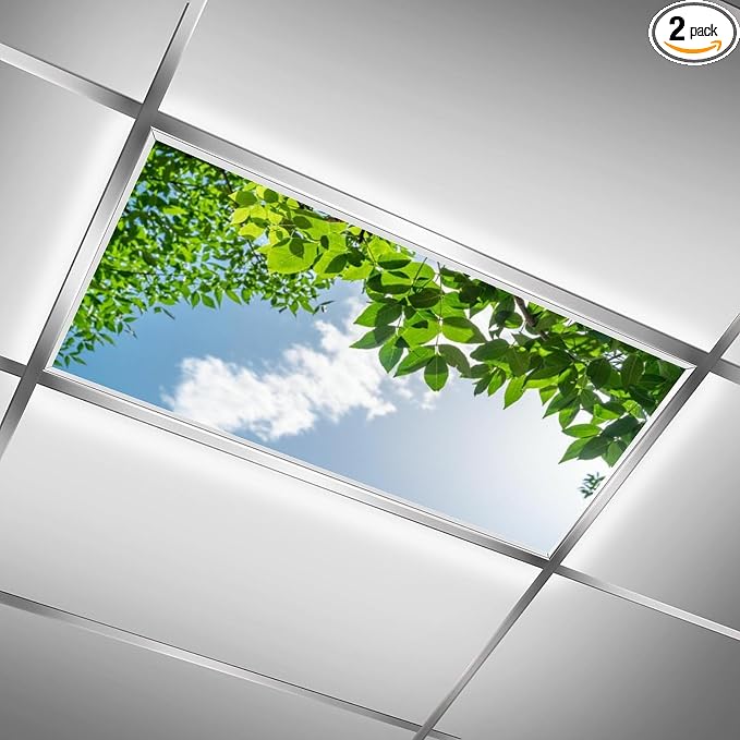 2PCS Magnetic Fluorescent Light Covers by RoseFace
