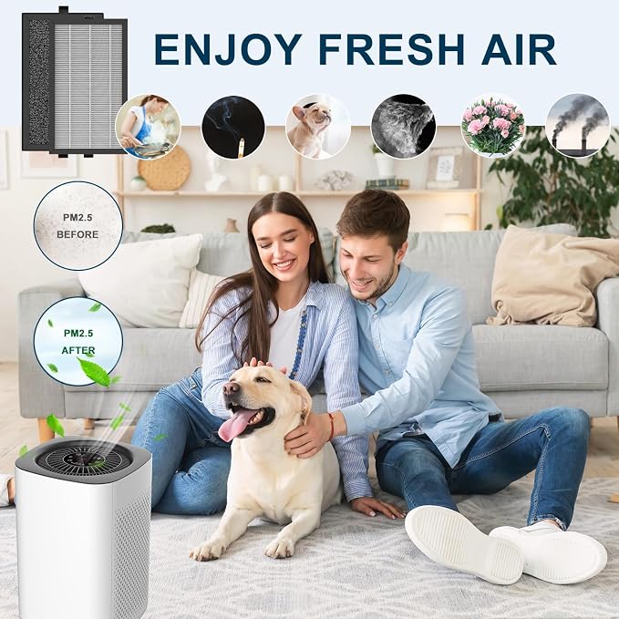 Air Filter Compatible with Priestley P066 Small Room Air Purifier - Image 4