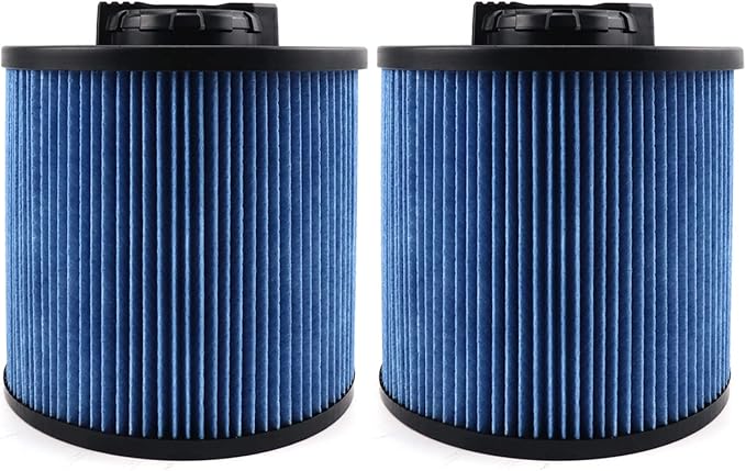2 Pack DXVC6912 Fine Dust Filter Fit by ANBOO