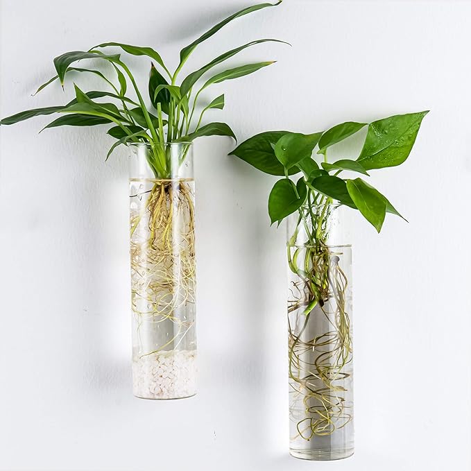 Kingbuy Wall-Mounted Plant Terrarium Propagation Station - Image 2