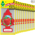 LITTLE TREES Car Air Freshener | Xtra Strength Provides Long-Lasting Scent by LITTLETREES