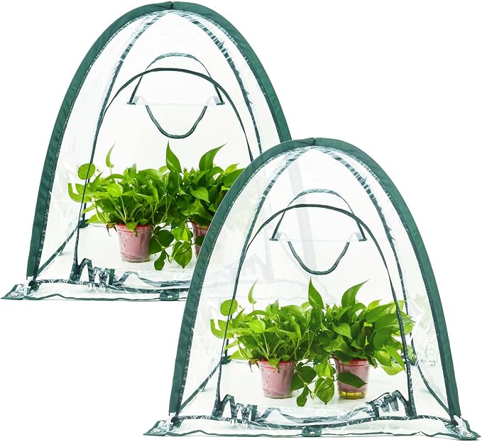 porayhut Pop Up Greenhouse Cover Flower House, Mini Gardening Plant Sunshine by porayhut