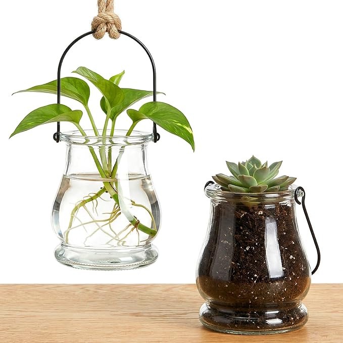 12-piece Set of Hanging Glass flowerpots, Indoor Plant wall-Mounted Propagation - Image 5