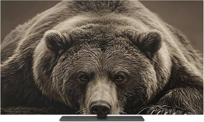 Rustic Brown Grizzly Bear Indoor TV Cover, Elastic TV Screen Protector Abstract by Unknown