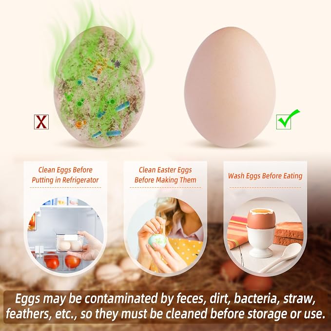 Egg Brush Cleaner, Egg Scrubber Tool - Image 3