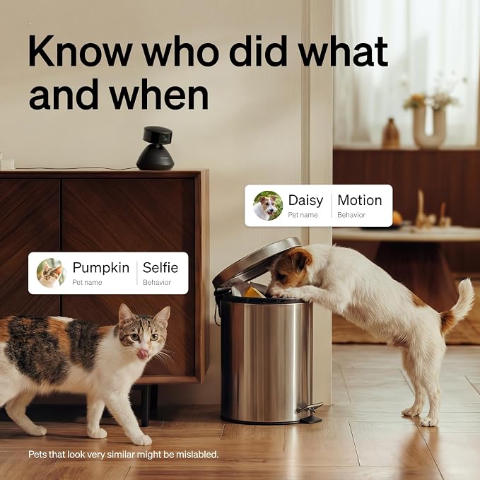 PETLIBRO Dog Camera with Phone App, 360° Auto Tracking Pet Camera Indoor with - Image 2