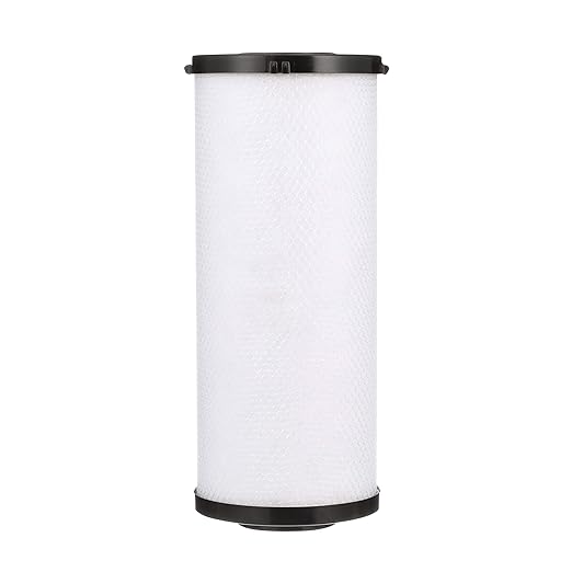 Watts Premier 1-Pack Radial Flow Carbon Block 20-Micron Cartridge, 000 by WattsPremier