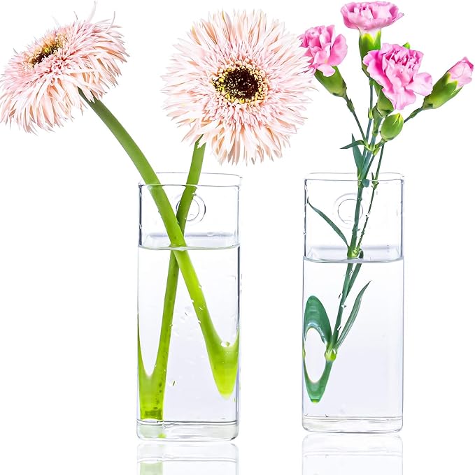Square Glass Propagation Vase 2 Pack, Wall Hanging Hydroponic Planter | - Image 2