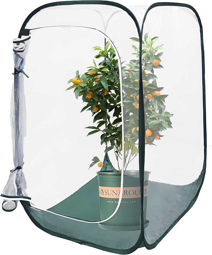 Plant Mini Greenhouse Pop up Frost Protection Enclosure PVC Clear Plant Covers - Image 8