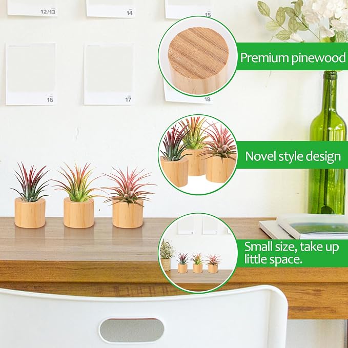 Bigmeta 3 Pcs Wood Air Plant Holder, 1.4" Rustic Style Airplant Display Stands - Image 4