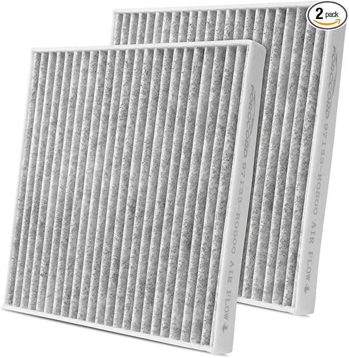 2-Pack Rear Cabin Air Filter Fits by Forccord