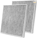 2-Pack Rear Cabin Air Filter Fits by Forccord
