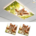 2 Pack Leaping Squirrel Decorative Ceiling Light Covers, Magnetic 4x2 Ft by AOHMPT