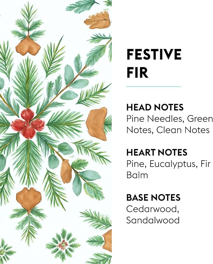 MAISON BERGER Lampe Berger Refill, 1 L, Festive Fir | Catalytic Lamp Fragrance - Image 2