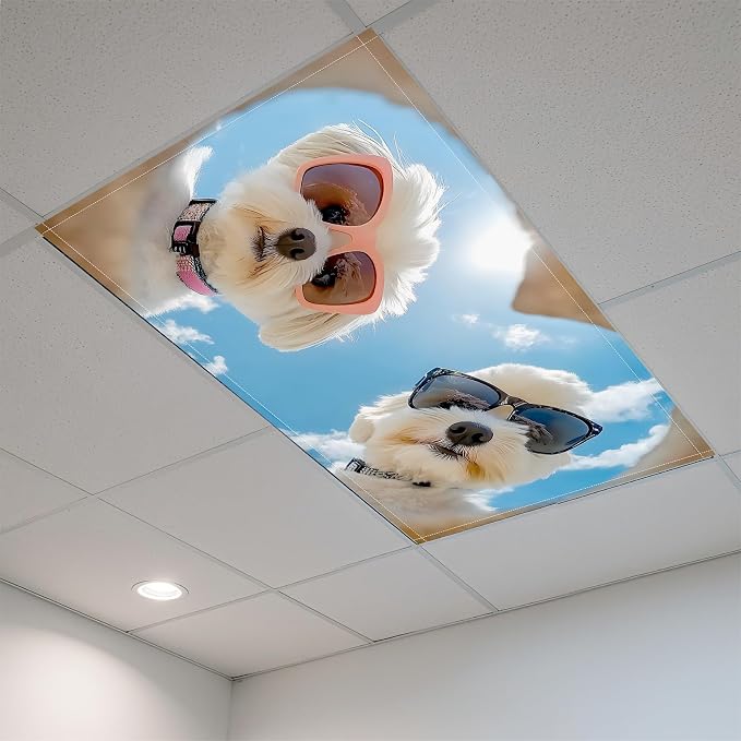 Fluorescent Light Covers-2 Pack 4 x 2 Feet Magnetic Ceiling Light Cover Room - Image 7