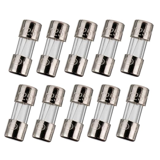 BOJACK Mini Fuse 3.6x10 mm 2.5 A 2.5 amp 125 V 125 Volt 0.14x0.39 Inch by BOJACK