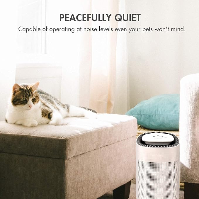 Tenergy Sorbi Dehumidifier w/Air Purifying Function and 3-Pack Replacement H13 - Image 5