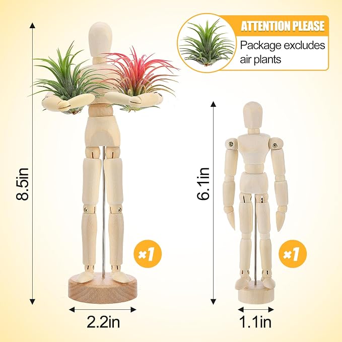 ANPHSIN 2 Sizes Wooden Air Plant Holder - Image 5