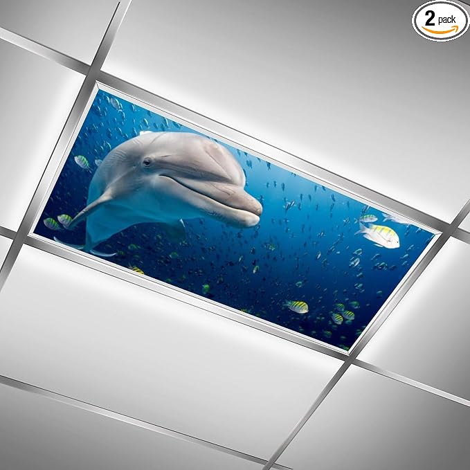 2PCS Fluorescent Light Covers for Classroom Ceiling Lights Magnetic Light Covers by RoseFace
