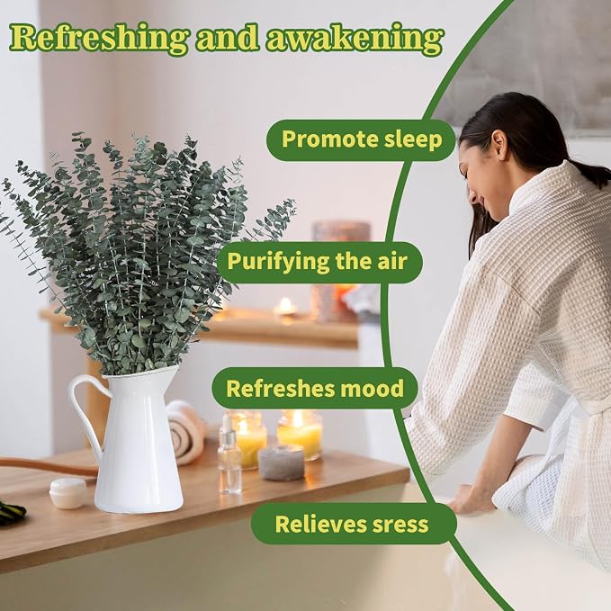 11 PCS Real Dried Eucalyptus Stem - Image 4