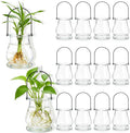 12-piece Set of Hanging Glass flowerpots, Indoor Plant wall-Mounted Propagation by Unknown