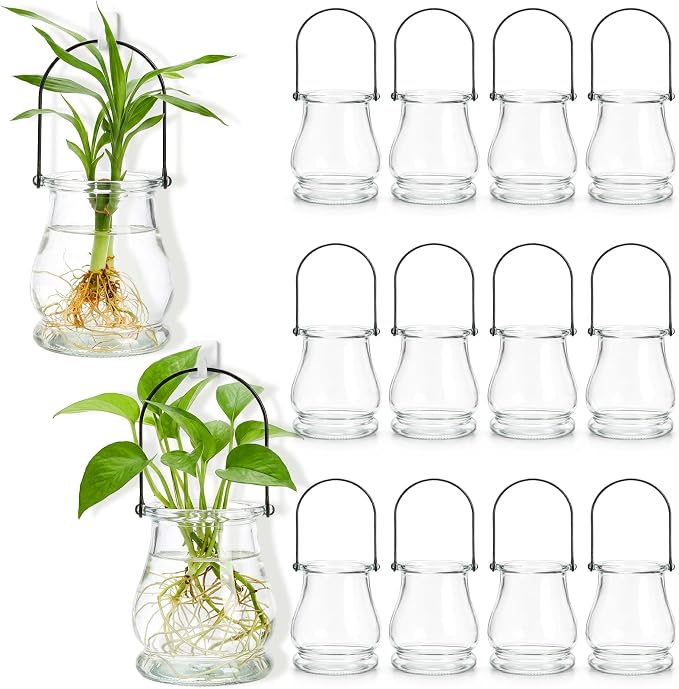 12-piece Set of Hanging Glass flowerpots, Indoor Plant wall-Mounted Propagation by Unknown
