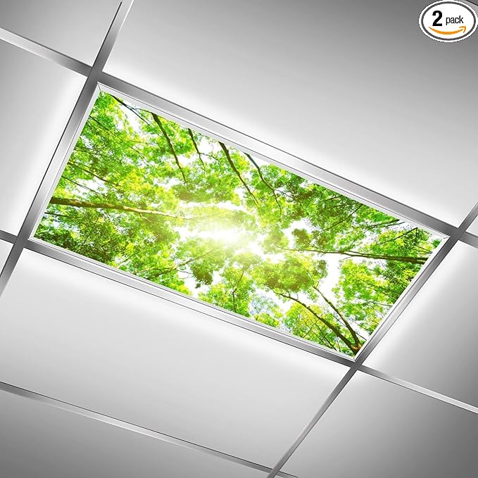 2PCS Fluorescent Light Covers for Classroom Ceiling by RoseFace
