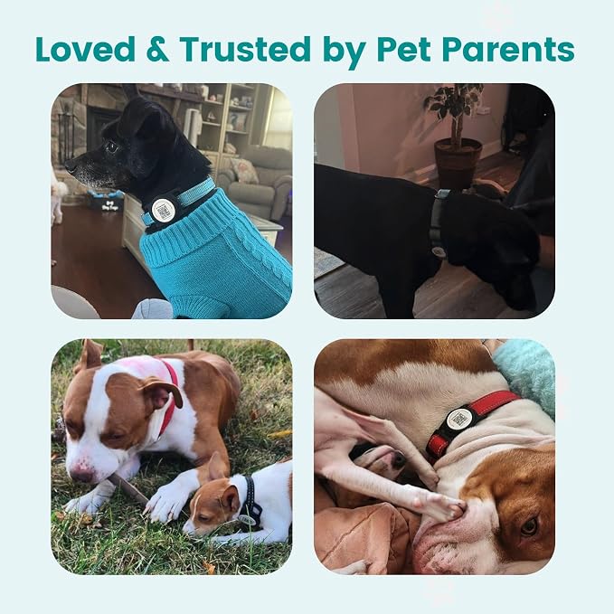 for AirTag Holder Dog Collar, Smart QR Code Holder - Image 8