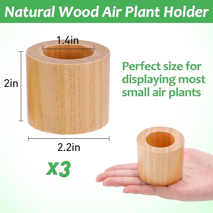 Bigmeta 3 Pcs Wood Air Plant Holder, 1.4" Rustic Style Airplant Display Stands - Image 7