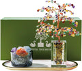 Runyangshi Chakra Crystal Tree of Life & Natural Crystal Ore Diffuser Set by Runyangshi
