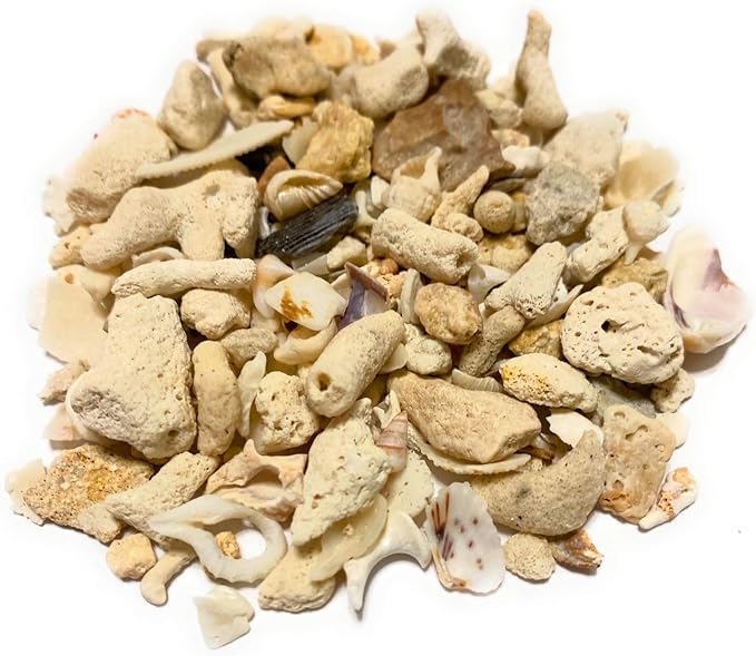 Middle Keys Marine Life LLC Florida Keys Crushed Coral Aquarium Gravel 2.5 LB by Unknown