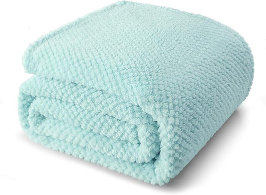 Whale Flotilla Queen Size Fuzzy Fleece Blanket for Bed, 90x90 Inch Fluffy Warm Soft Jacquard Blankets for All Season, Lightweight and Cozy, Light Blue