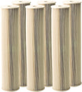 Pentair Pentek ECP5-20BB Big Blue Sediment Water Filter, Whole House Heavy Duty by PENTAIRPENTEK